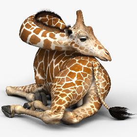 Shale Contemporary House With Interior